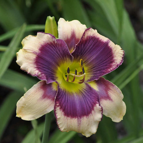 Picture of Santuario